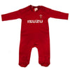 Wales Rugby Union Baby Sleepsuit Image 1