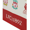 Liverpool FC Reusable Shopper Bag Image 2