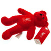 Liverpool FC Mini Bear Soft Toy Image 3