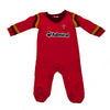 Wales Rugby Union Baby Sleepsuit Image 1