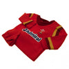 Wales Rugby Union Baby Sleepsuit Image 2