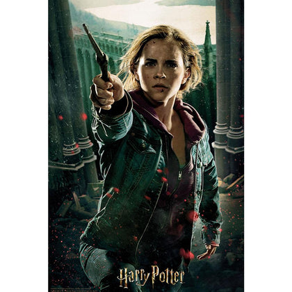 Harry Potter 300 Piece Hermione 3D Image Puzzle Image 1