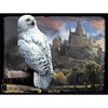 Harry Potter Hedwig 500 Piece 3D Image Puzzle Image 1
