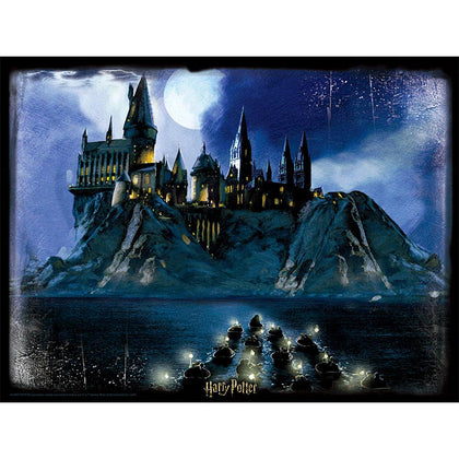 Harry Potter Hogwarts Night 500 Piece 3D Image Puzzle Image 1