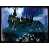 Harry Potter Hogwarts Night 500 Piece 3D Image Puzzle Image 1
